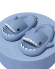 Shark Slides