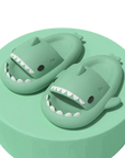 Shark Slides