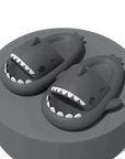 Shark Slides