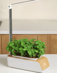 Intelligent Hydroponic Light Planter